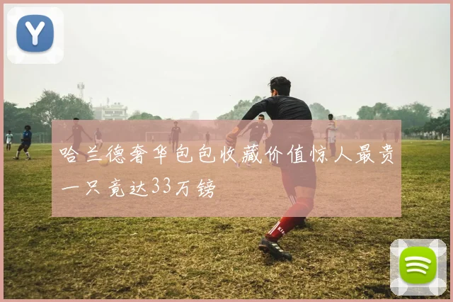 哈兰德奢华包包收藏价值惊人最贵一只竟达33万镑